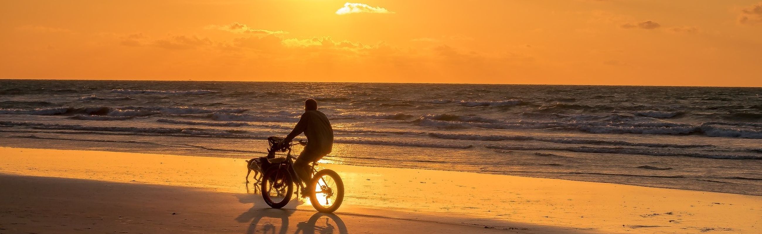 Bike rental Callantsoog