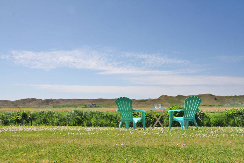 Beach Holiday Callantsoog LekkerNaarZee