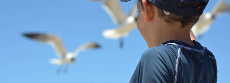 Beach Holiday with kids North Holland